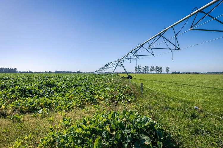 1710 Ealing Montalto Road Ashburton_24