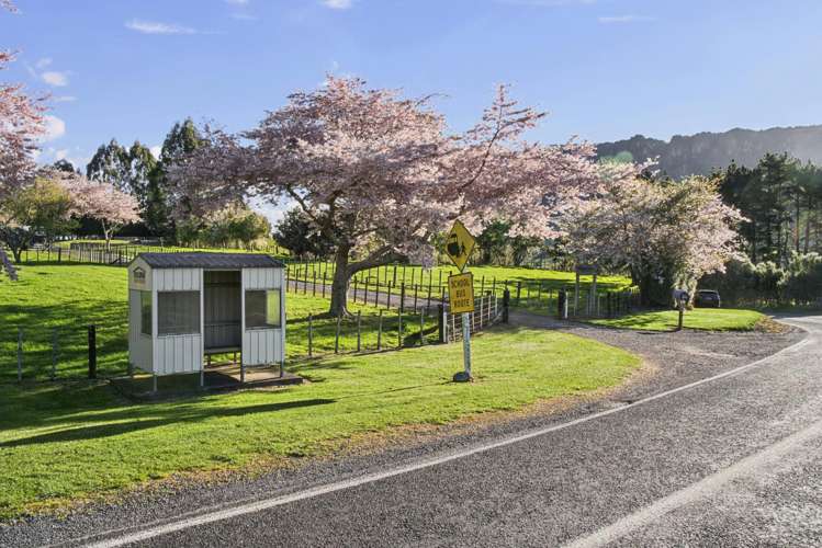 554 Apirana Road Horohoro_34