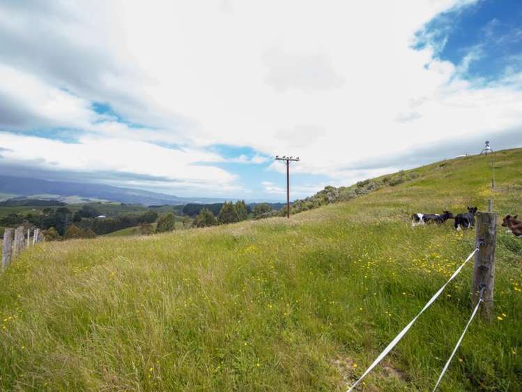 11 Ridge Road Pohangina_15