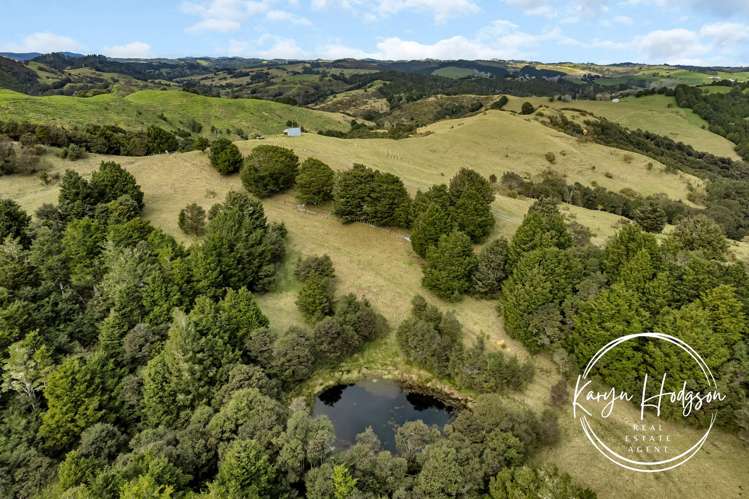 897 Bull Road Paparoa_11