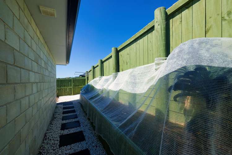 82a Shearwater Drive Kaikoura_18