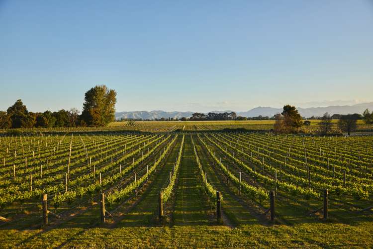 212 Selmes Road Rapaura_18