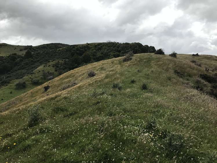 Bowen Road Eketahuna_7