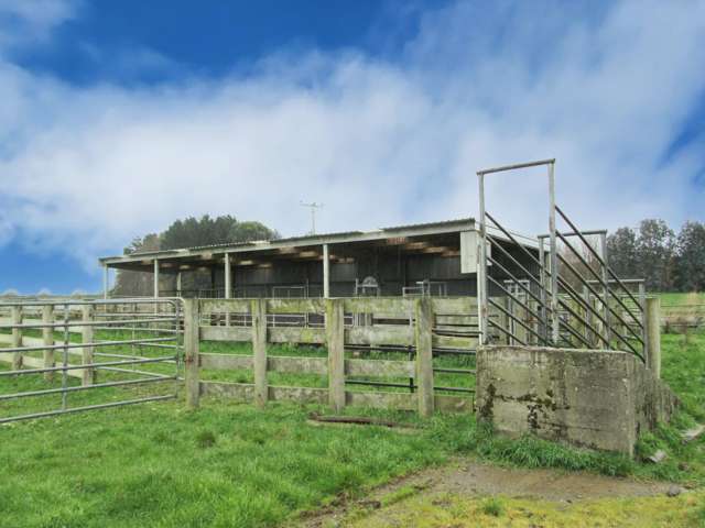 723 Papatotara Road Tuatapere_4