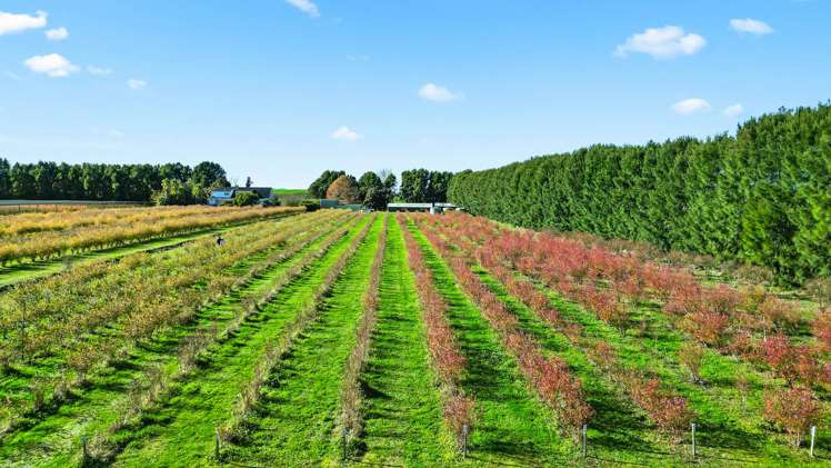 390 O'Regan Road Ngahinapouri_3