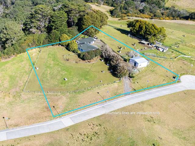 116 Chamberlain Road Massey_2