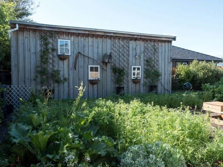 49 George Street Geraldine_11