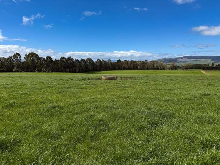473 Clifden Gorge Road Eastern Bush_7