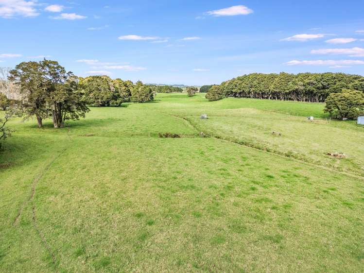 444 Brown Road Kaiwaka_15