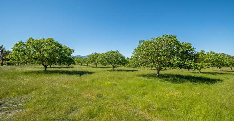 187 Wither Road Witherlea_25