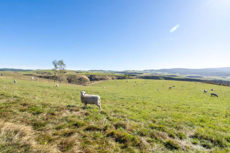 655 Rankleburn Road Rankleburn_26