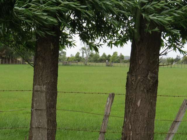 569 Taonui Road Feilding_2