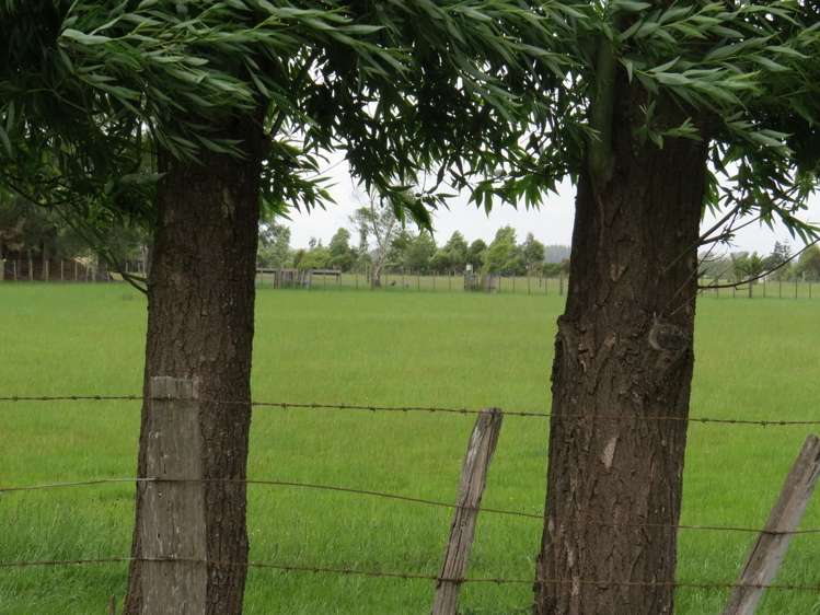 569 Taonui Road Feilding_2