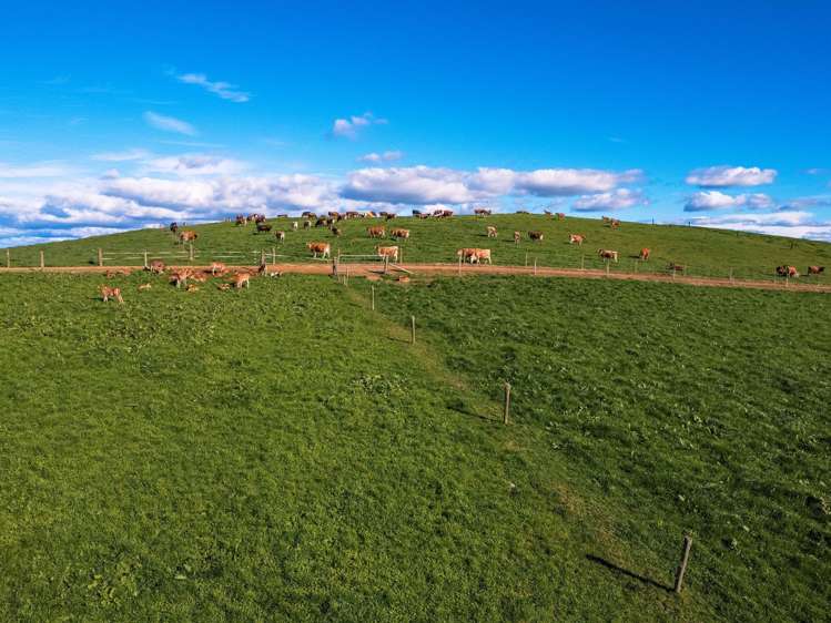 402 Awatane Road Otorohanga_19