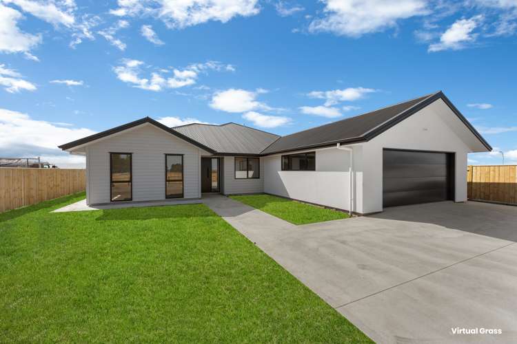 176 Ranfurly Road_0