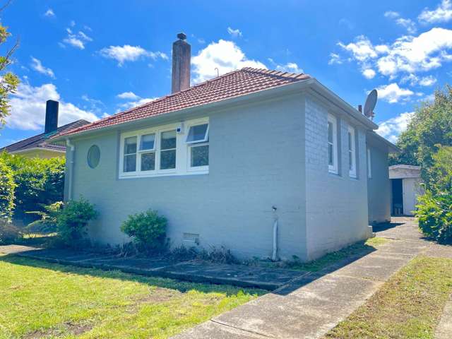 Cozy Home in Mt Albert