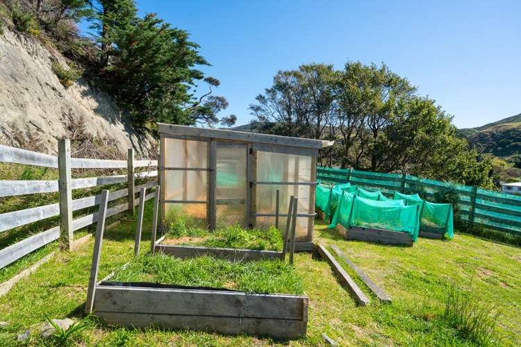 474A Makara Road Makara_33