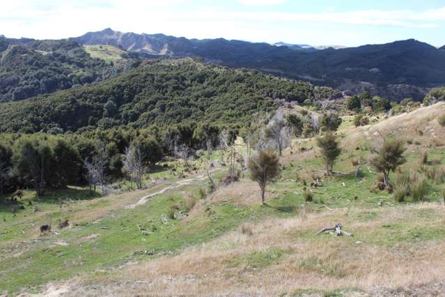 VENDOR WANTS SOLD - Hunting Block