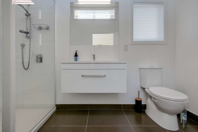 49 Mcgrath Street Napier South_17