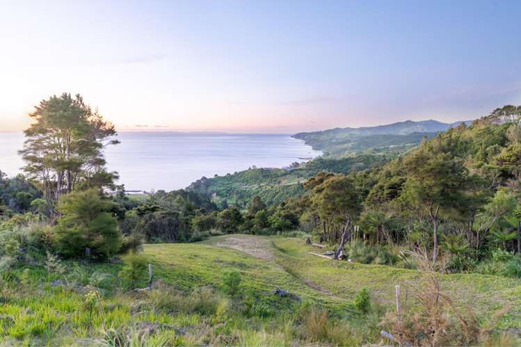98 Tapu Rise Heights Tapu_12