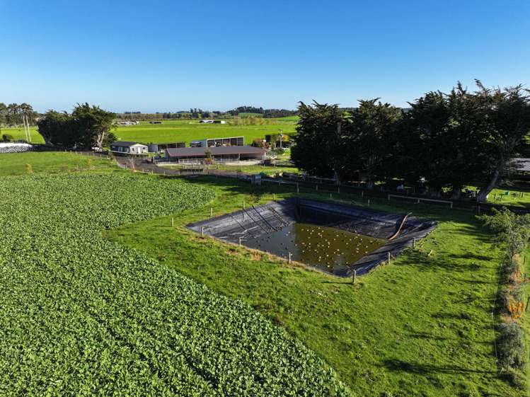 61 Donald Road Edendale_11