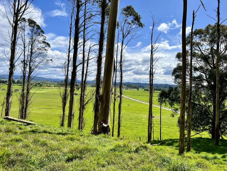 637a Awahou Road Murupara Surrounds_16