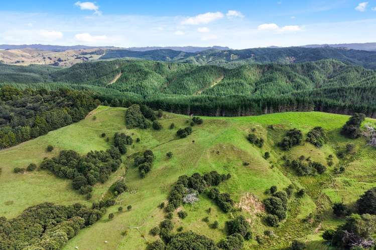 59A Simon Bayer Road Puhoi_2