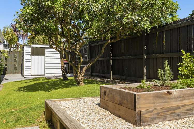 8 Takapu Street Matua_20