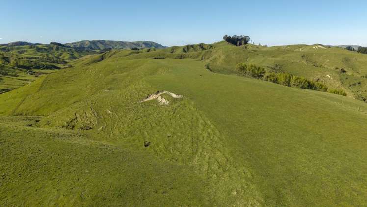 329 North Road Masterton_11