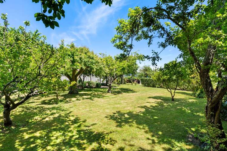 5 Vivian Street Inner Kaiti_6