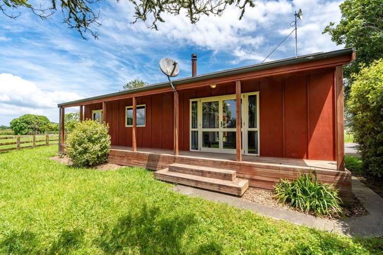 55 Boyd Road Gordonton_27