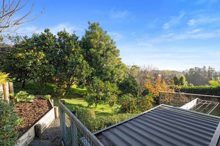 10a Tollemache Place Otumoetai_16