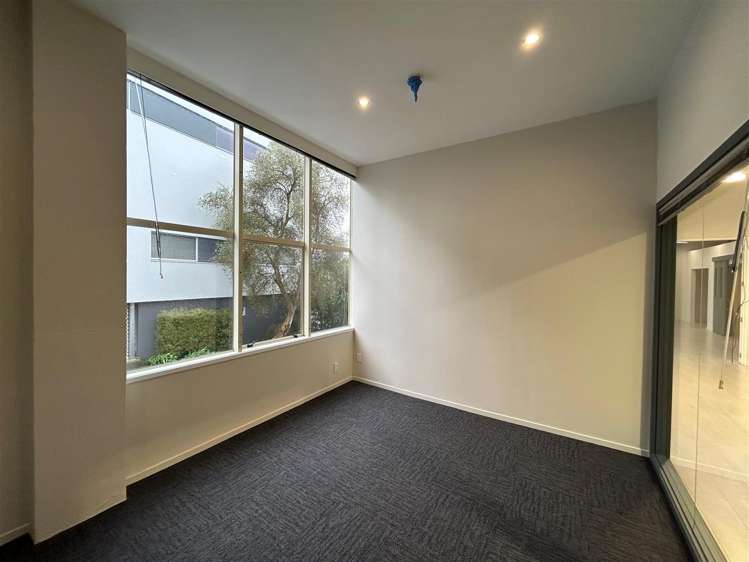 20C Karaka Street Eden Terrace_5