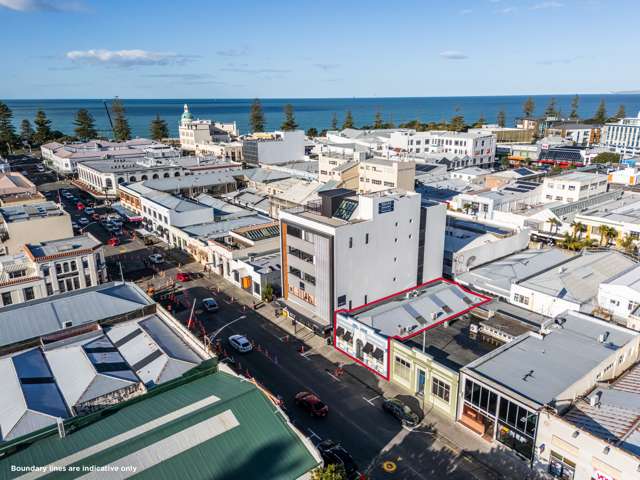 74 Tennyson Street Napier South_1