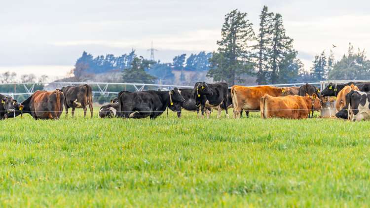 205 Barrs Road Sheffield_6