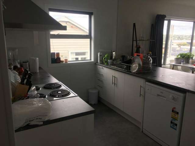135 St David Street North Dunedin_3
