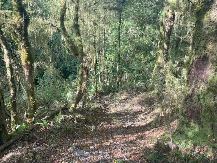 774 Atarau Road Atarau_17