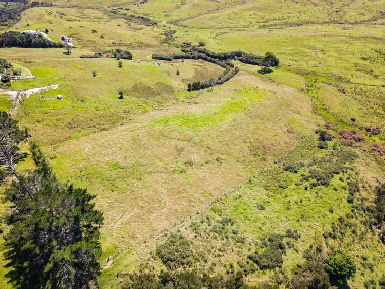 Taipa Heights Drive Taipa_6