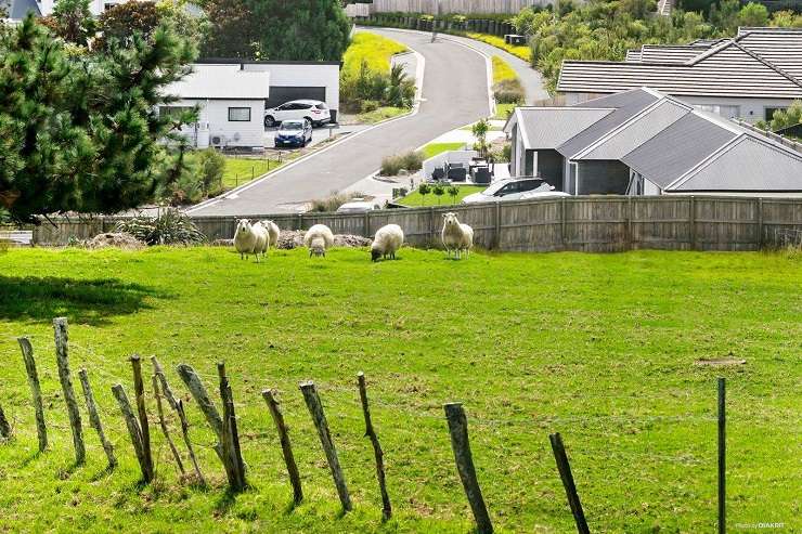 green field and white house with garage 86 Matija Place, Red Beach, Rodney, Auckland