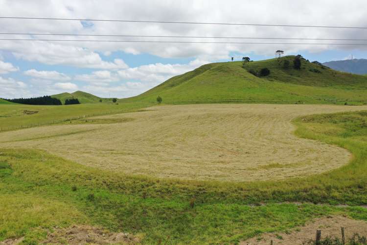 390 Pinfold Road Woodville_9