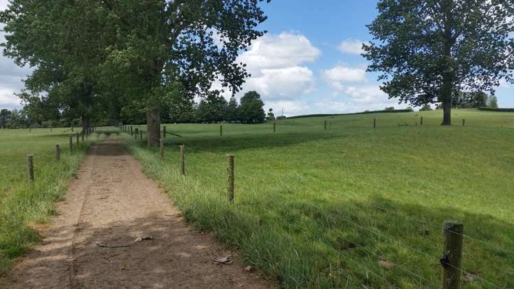 851 Hutchinson Road Morrinsville_15