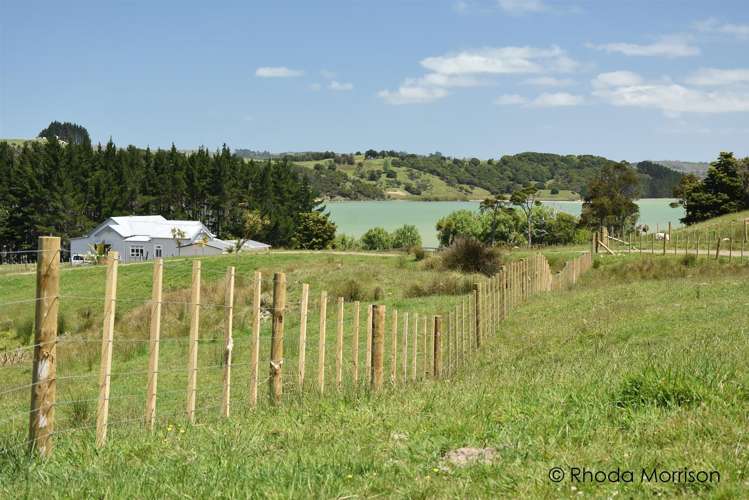 321 Heatley Road Whakapirau_30