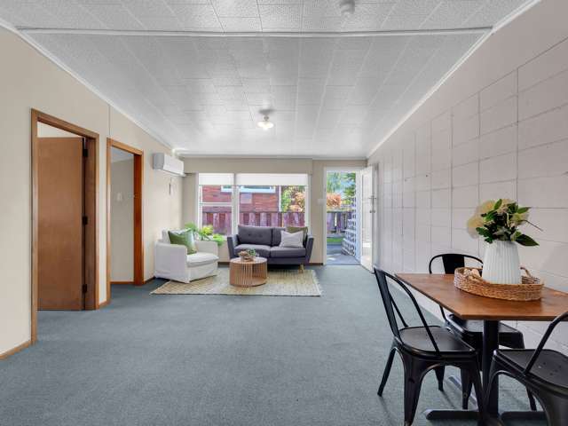 9B Elizabeth Avenue Morrinsville_2