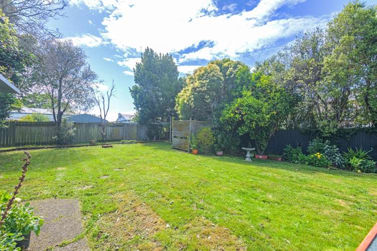 26 Kauri Street Roslyn_13