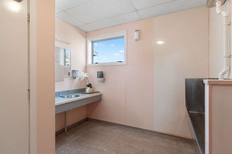 6 Farmer Road Waitoa_15