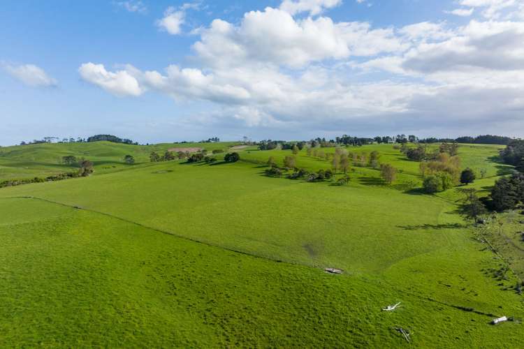 52 Gillon Road Matakohe_11