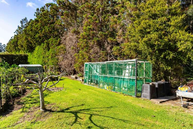 81 Avocado Lane Mangawhai_25