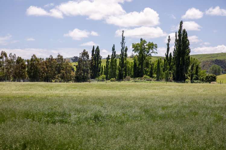 Lot 12, 0 Oven Hill Road Roxburgh_2