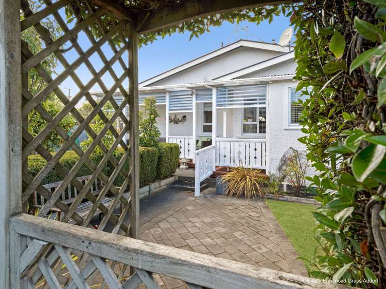 33 Moore Avenue Tawhero_28