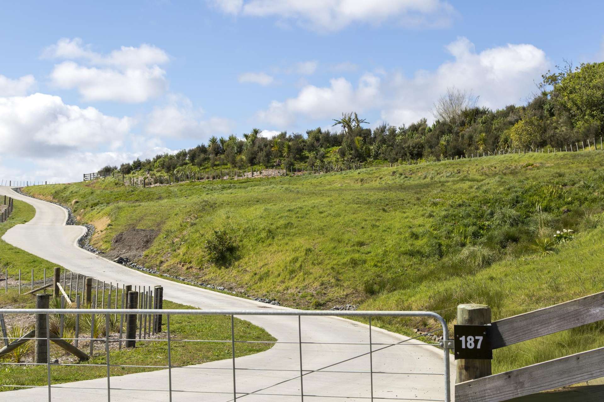 187 Wishart Road Helensville_0